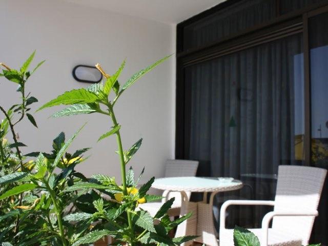 波多黎各 Mozart酒店 外观 照片